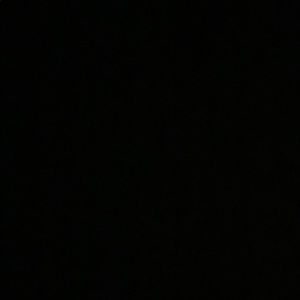 Meet your Posher, Lili